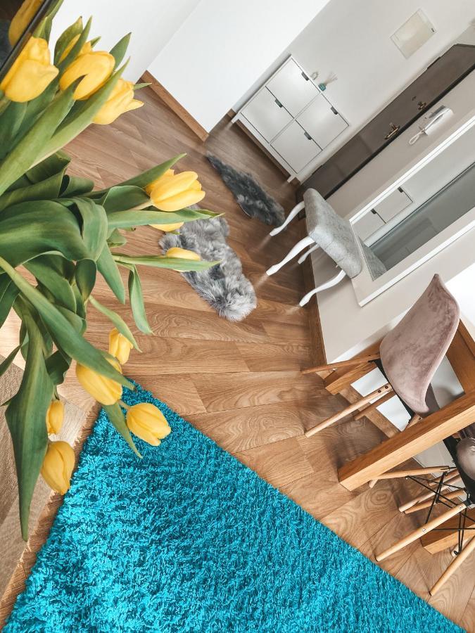 Apartament Solna 80 - Centrum Miasta Z Podziemnym Garazem Kielce Extérieur photo